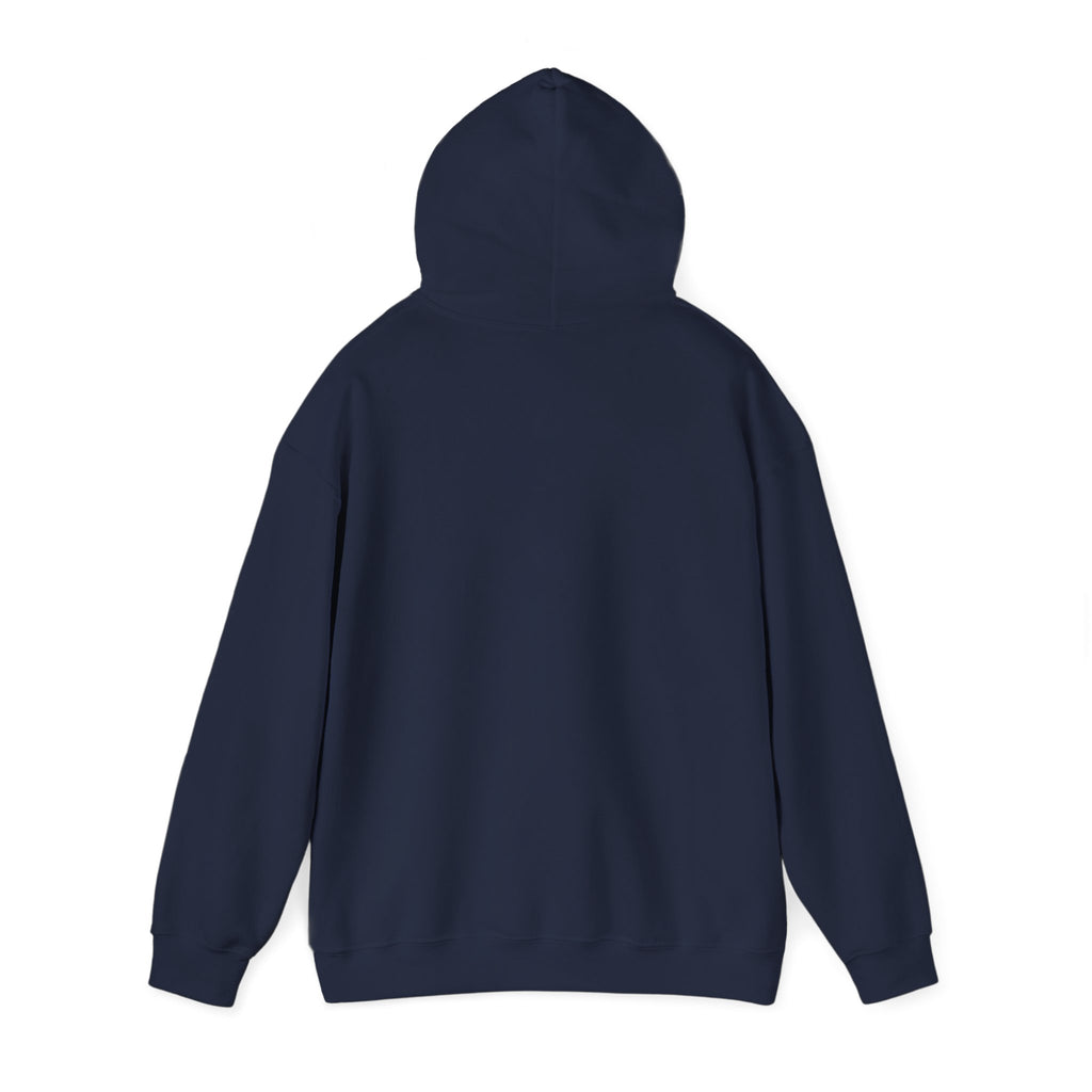 Cowgirl Soul Hoodie | western ranch rustic prairie, vintage rodeo