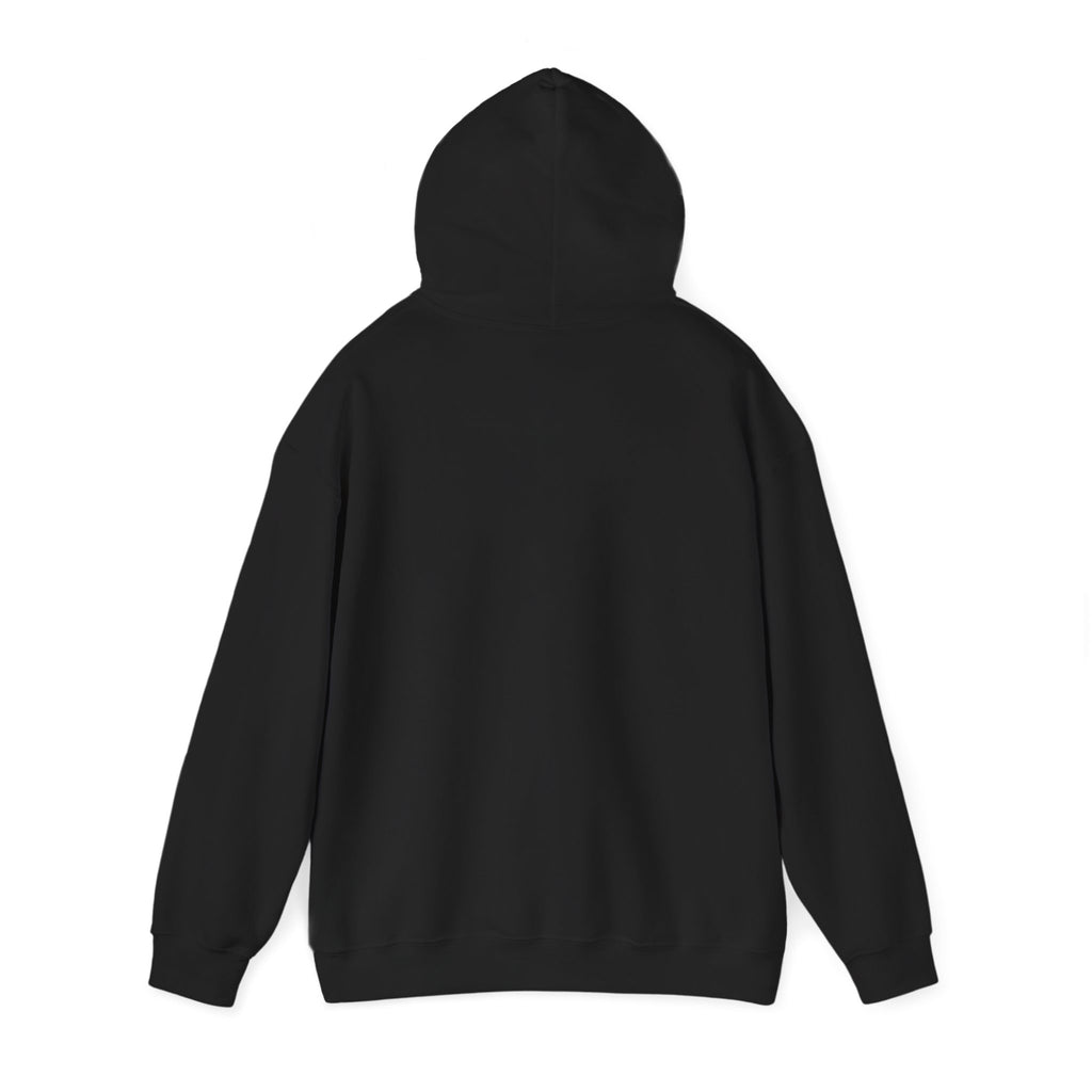 Cowgirl Soul Hoodie | western ranch rustic prairie, vintage rodeo
