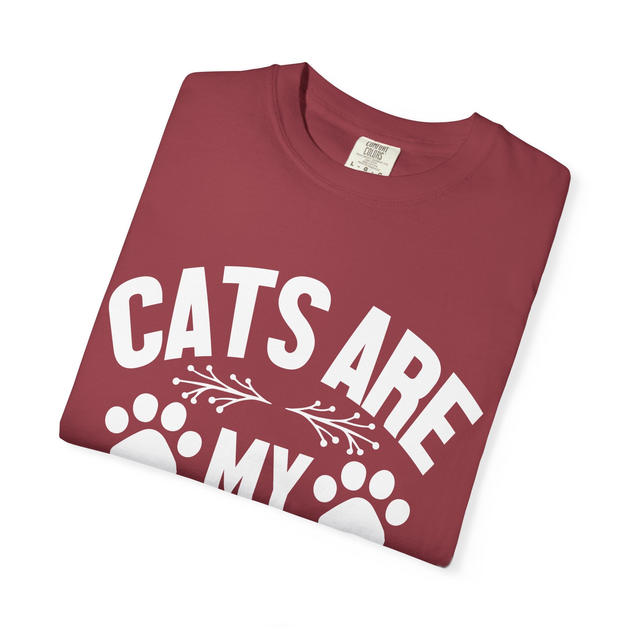 cats are my favorite people T-shirt