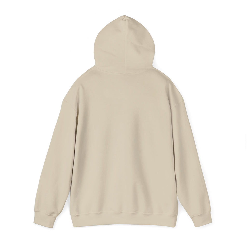 Cowgirl Soul Hoodie | western ranch rustic prairie, vintage rodeo